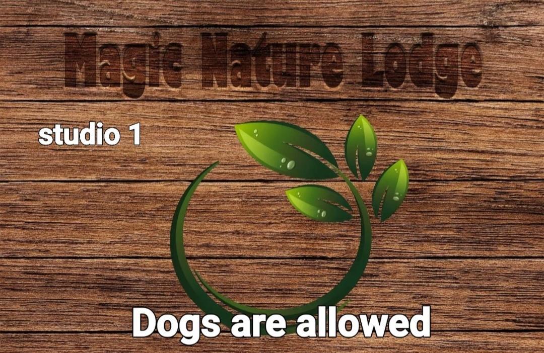 Magic Nature Lodge Marvao  Room photo